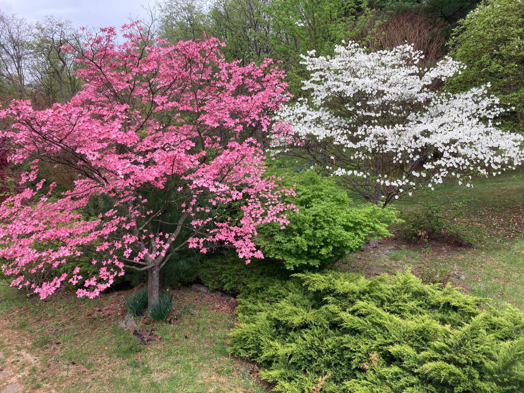 Purcellville Home Luaran gambar