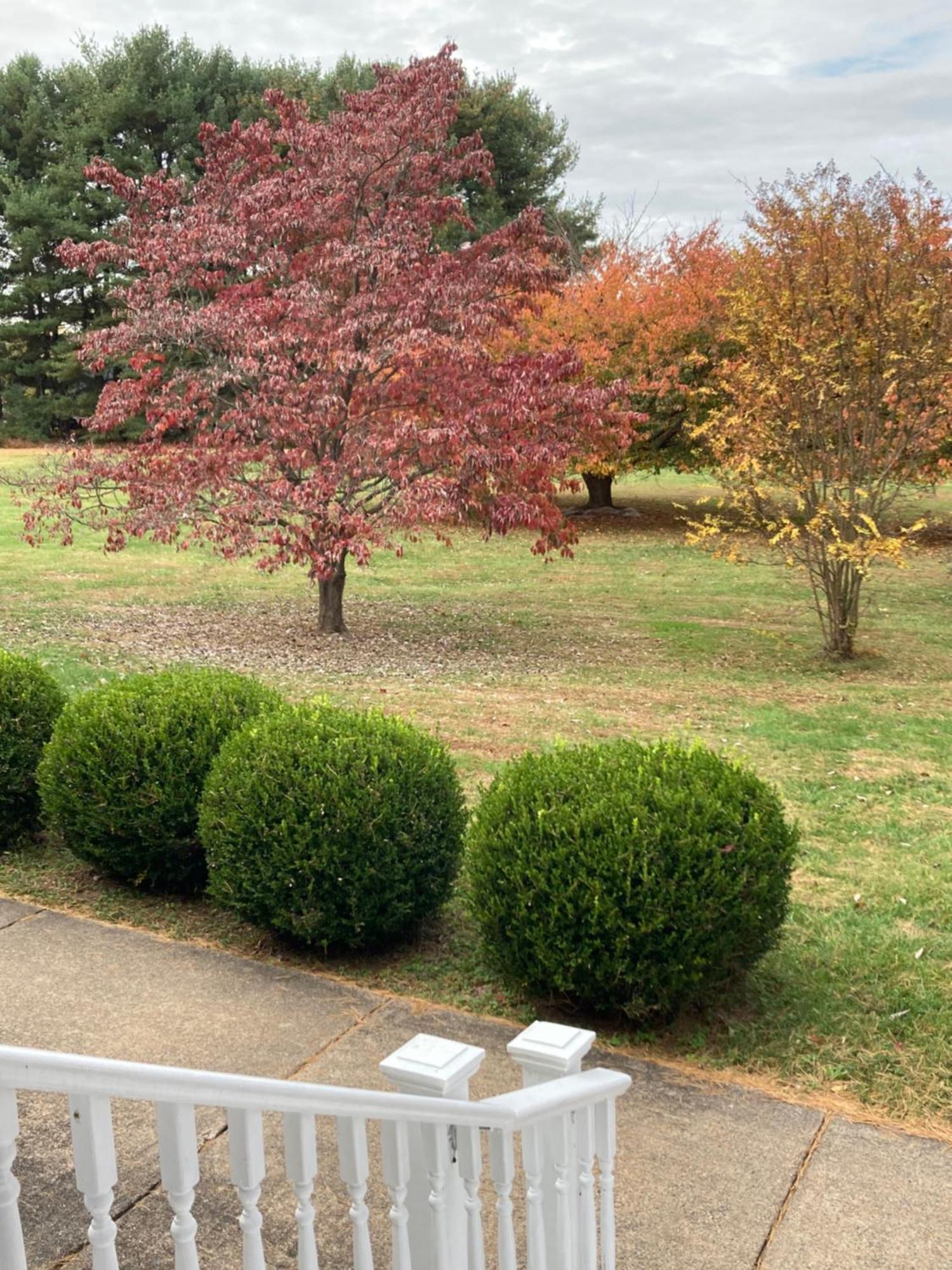 Purcellville Home Luaran gambar