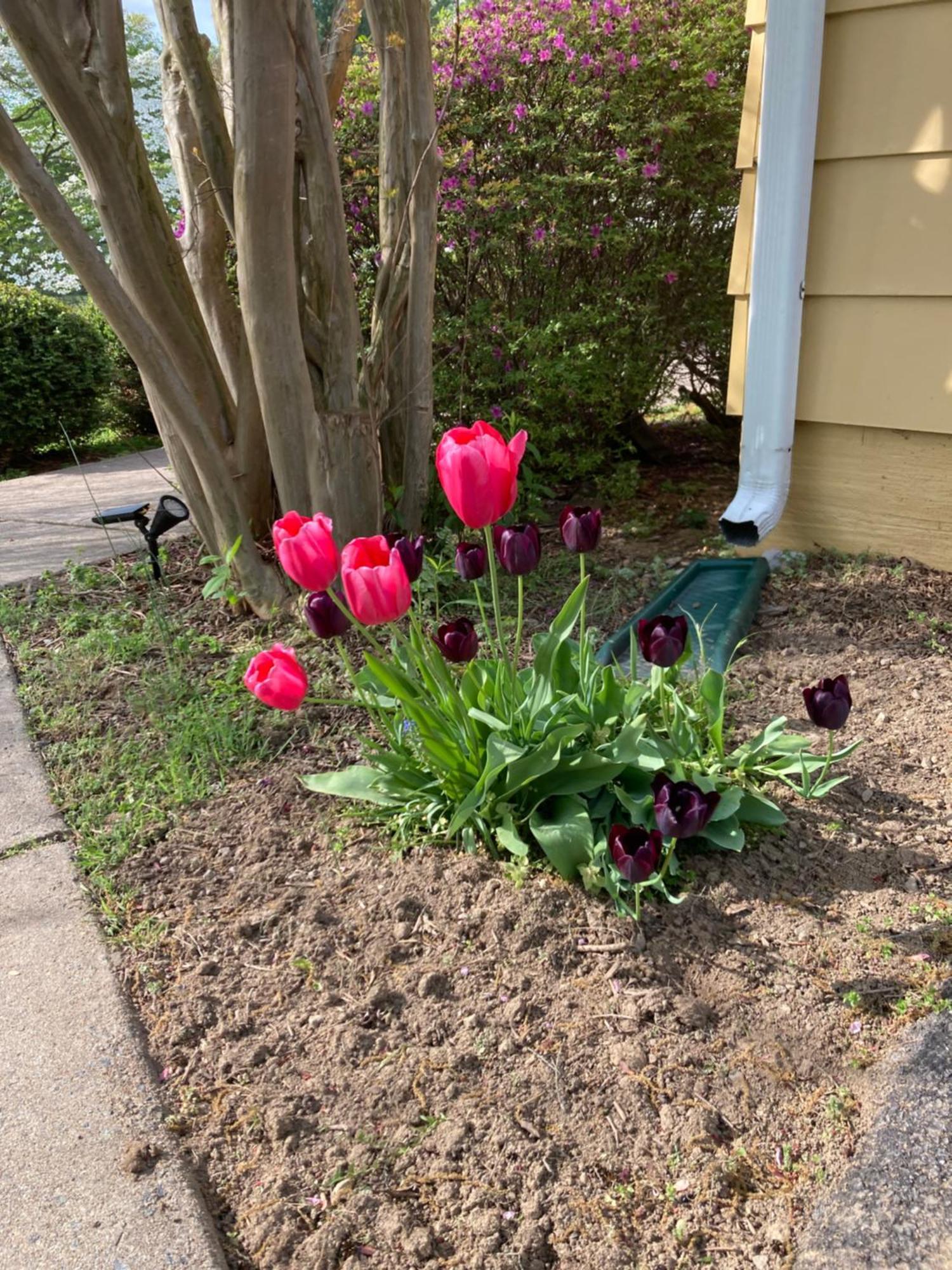 Purcellville Home Luaran gambar